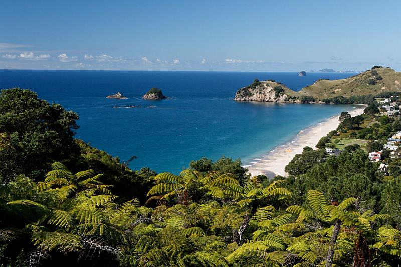 2007 04 24 Coromandel Peninsula 047_DXO.jpg